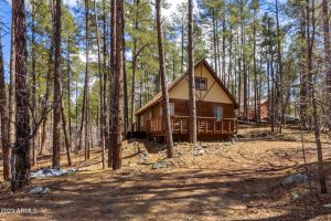 Read more about the article Prescott cabins for sale by owner