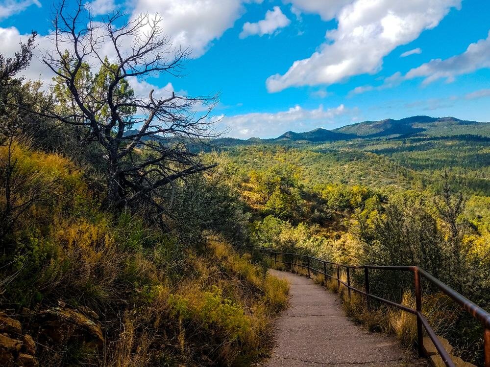 You are currently viewing Land for Sale in Prescott national forests